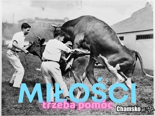 Pomaganie jest O. K.