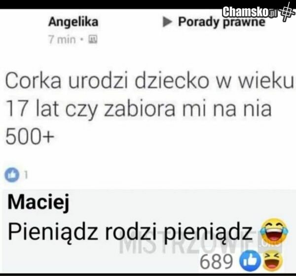 jebać pis