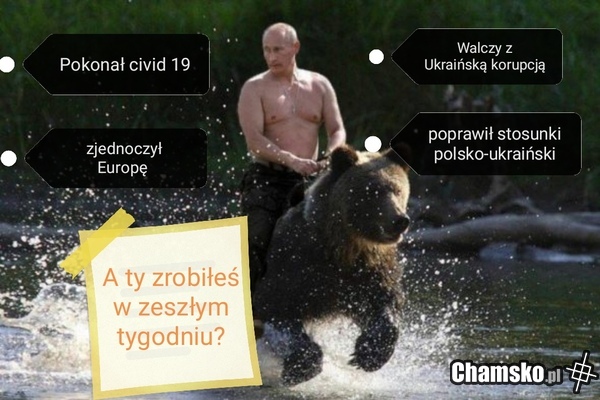 Bochater