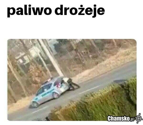 paliwo