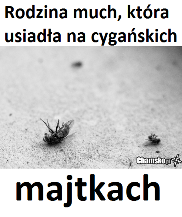 Muchy