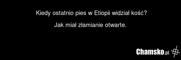 Kiedy ostatnio pies w Etiopii widział kość? Jak miał złamianie otwarte.