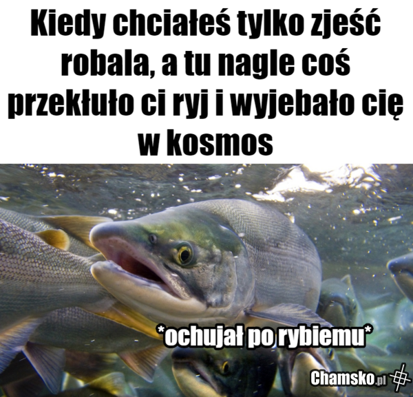 Pojebana sytuacja
