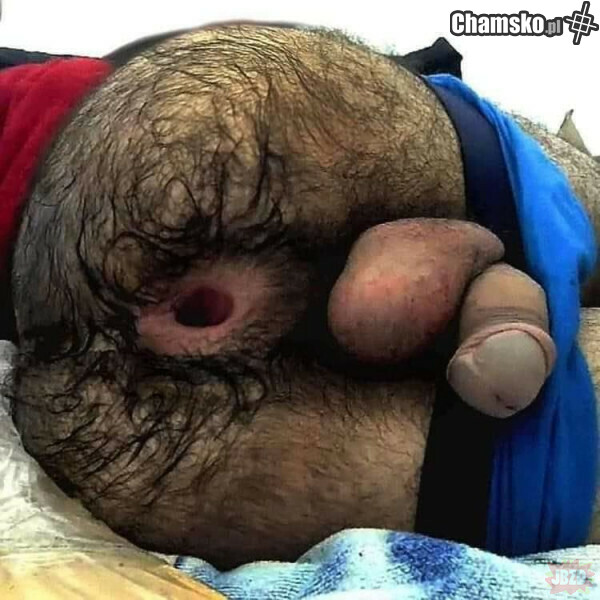 Bolcowanie