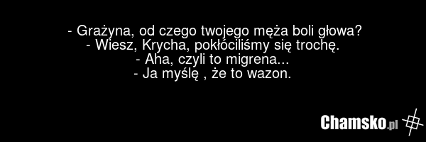 - Grażyna, od czego twojego męża boli głowa? - Wiesz, Krycha, pokłóciliśmy się trochę. - Aha, czyli to migrena... - Ja myślę , że to wazon.