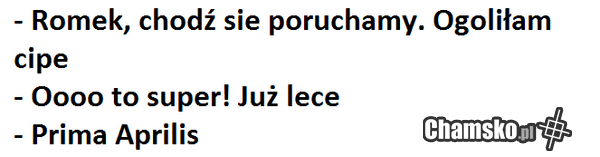 Prima Aprilis w Łomży