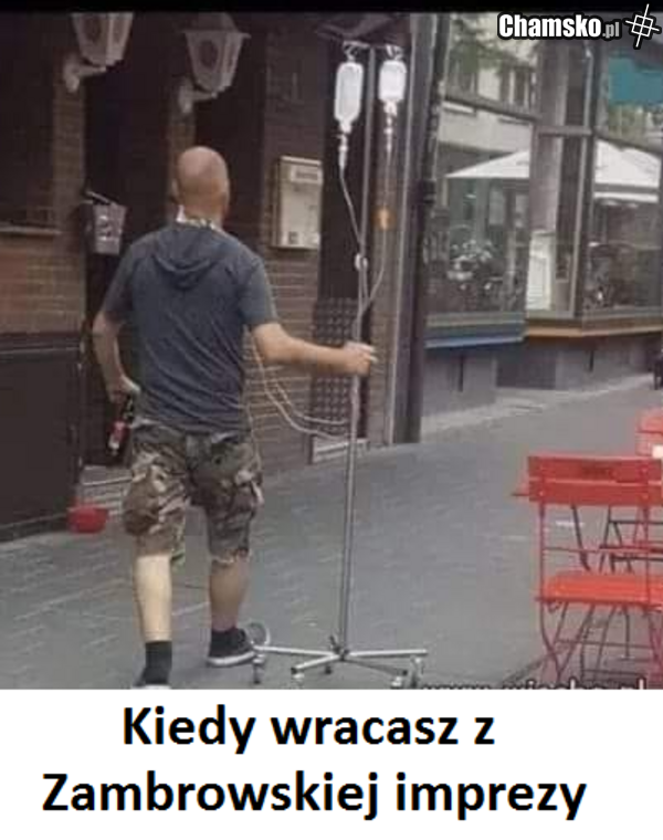 zapraszamy wszystkie ścierwa