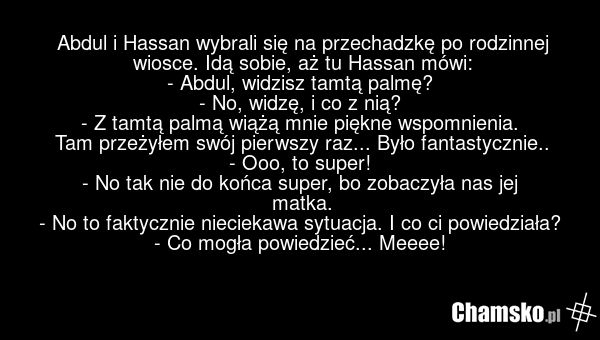Abdul i Hassan wybrali się na przechadzkę po rodzinnej wiosce. Idą sobie, aż tu Hassan mówi: - Abdul, widzisz tamtą palmę? - No, widzę, i co z nią? - Z tamtą palmą wiążą mnie piękne wspomnienia. Tam przeżyłem swój pierwszy raz... Było fantastycznie.. - Ooo, to super! - No tak nie do końca super, bo…