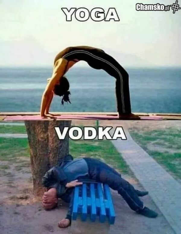 moj sport