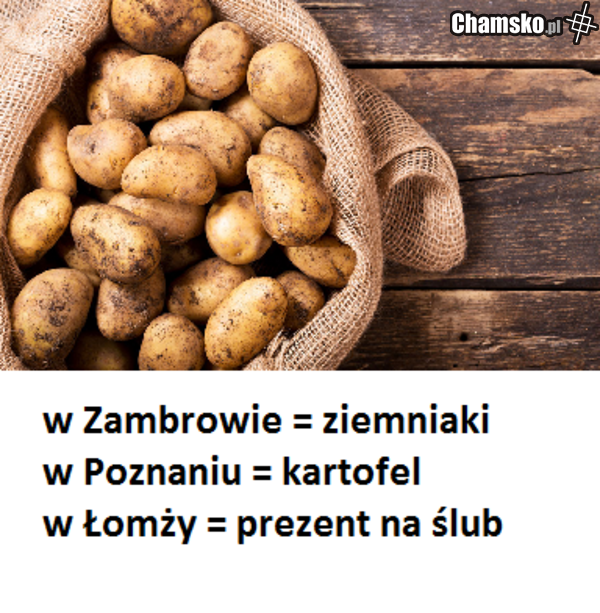 łomżyńska gwara