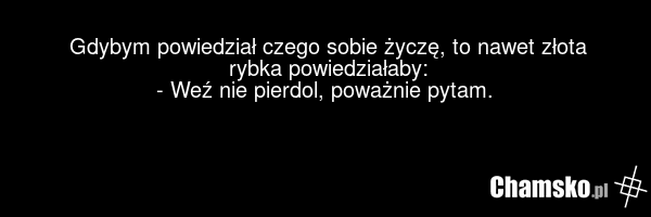 Gdybym powiedział czego sobie życzę, to nawet złota rybka powiedziałaby: - Weź nie pierdol, poważnie pytam.