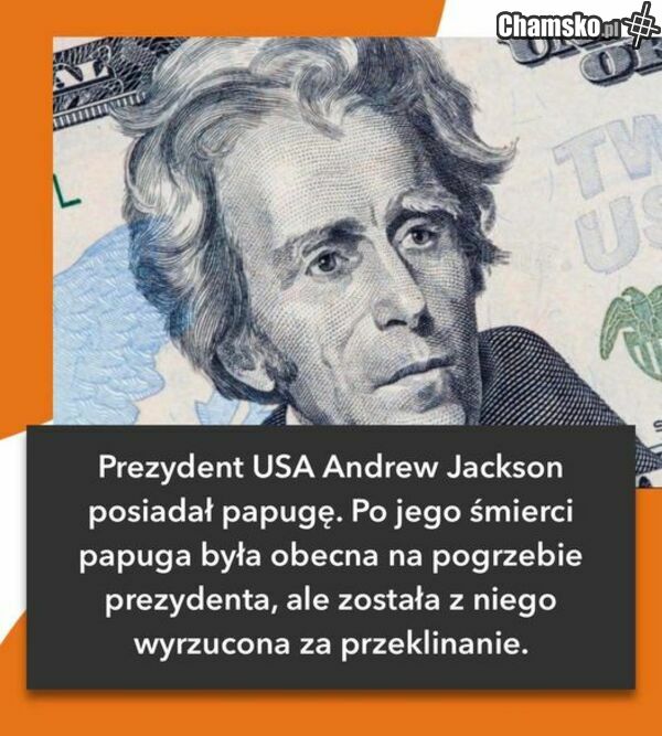 przypał hehehe