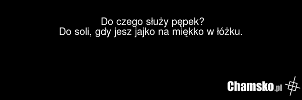 Do czego służy pępek? Do soli, gdy jesz jajko na miękko w łóżku.