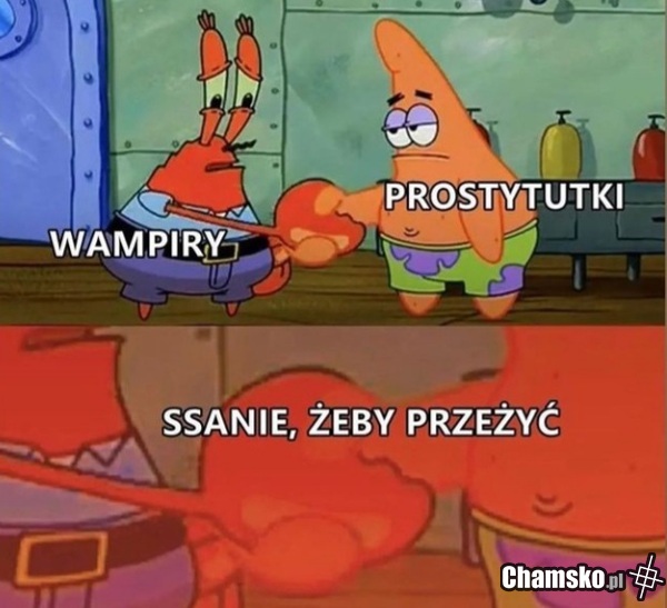 Samo życie