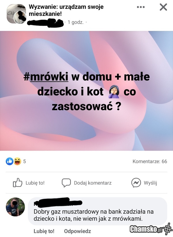 Gaz dobry na wszystko