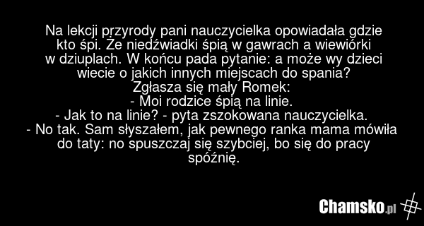 Na lekcji przyrody pani nauczycielka opowiadała gdzie kto śpi. Że niedźwiadki śpią w gawrach a wiewiórki w dziuplach. W końcu pada pytanie: a może wy dzieci wiecie o jakich innych miejscach do spania? Zgłasza się mały Romek: - Moi rodzice śpią na linie. - Jak to na linie? - pyta zszokowana nauczyci…