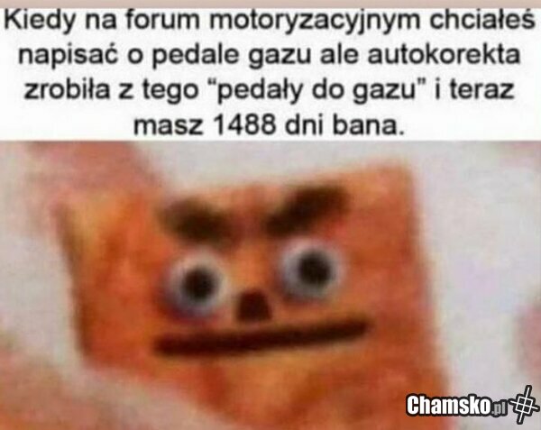Autokorekta