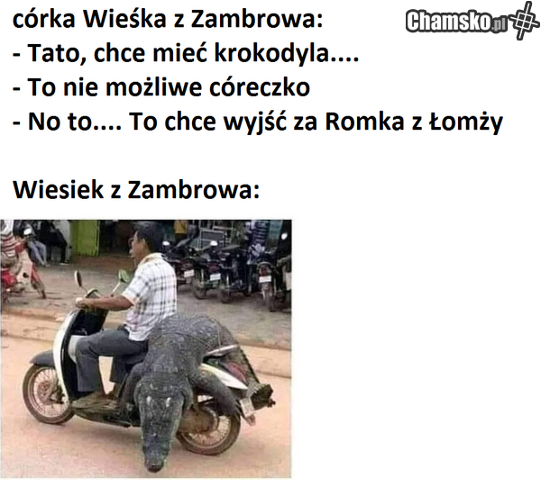 Przygody Wieśka z Zambrowa