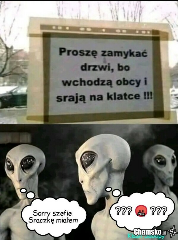 Obcy - decydujące starcie.