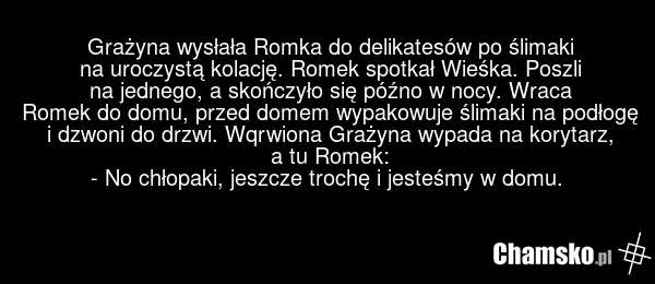 Grażyna wysłała Romka do delikatesów po ślimaki na uroczystą kolację. Romek spotkał Wieśka. Poszli na jednego, a skończyło się późno w nocy. Wraca Romek do domu, przed domem wypakowuje ślimaki na podłogę i dzwoni do drzwi. Wqrwiona Grażyna wypada na korytarz, a tu Romek: - No chłopaki, jeszcze troc…