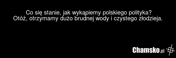 Co się stanie, jak wykąpiemy polskiego polityka? Otóż, otrzymamy dużo brudnej wody i czystego złodzieja.