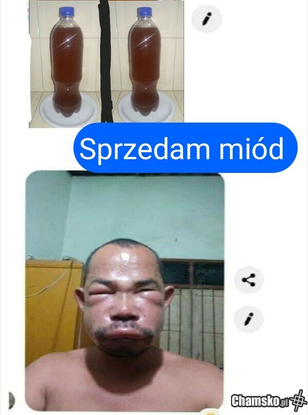 Sprzedam miód