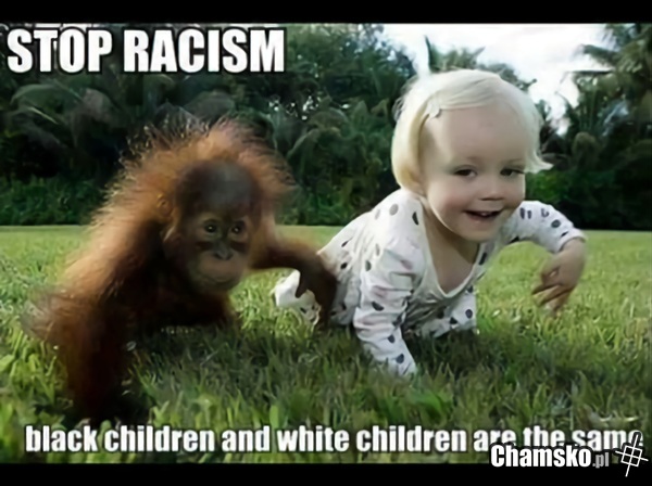 Stop rasizmowi