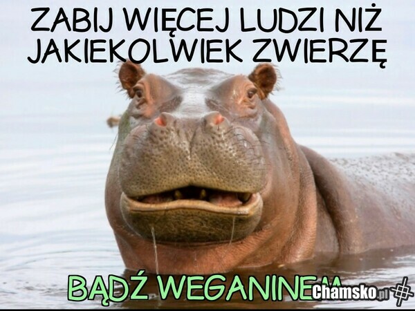 Perfekcyjny kamuflaż dla psychopatów.