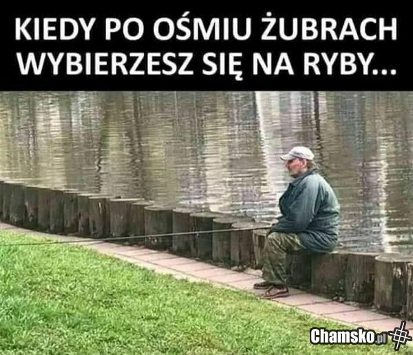 co jest kurwa