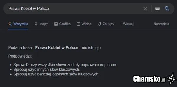 GOOGLE POWIE