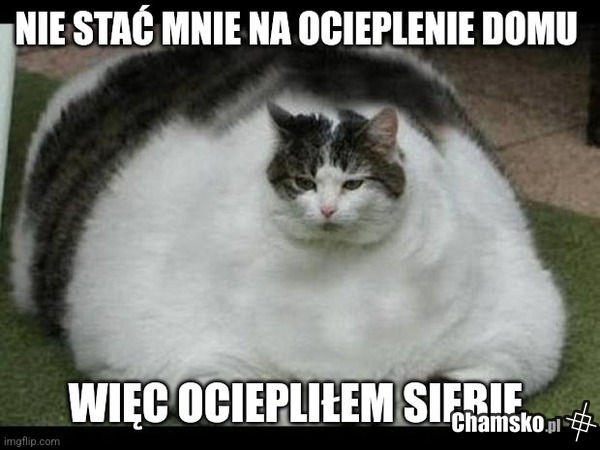Ocieplanie