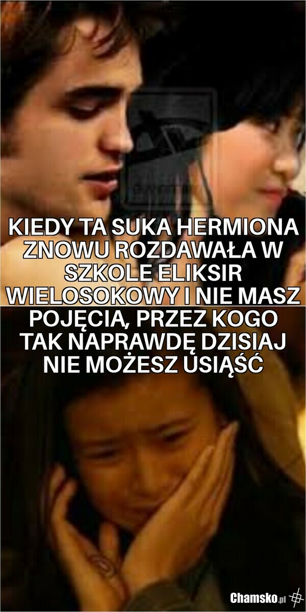 Jesteś dziwkarzem Harry!