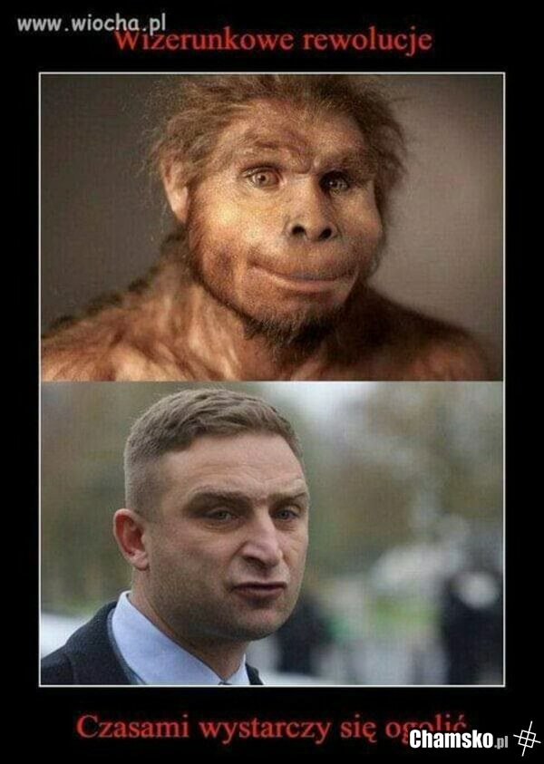 ewolucja