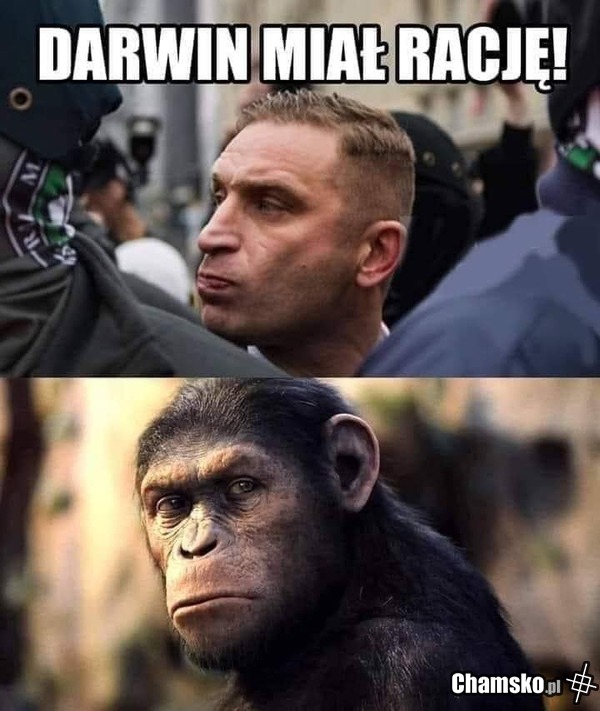 Darwin