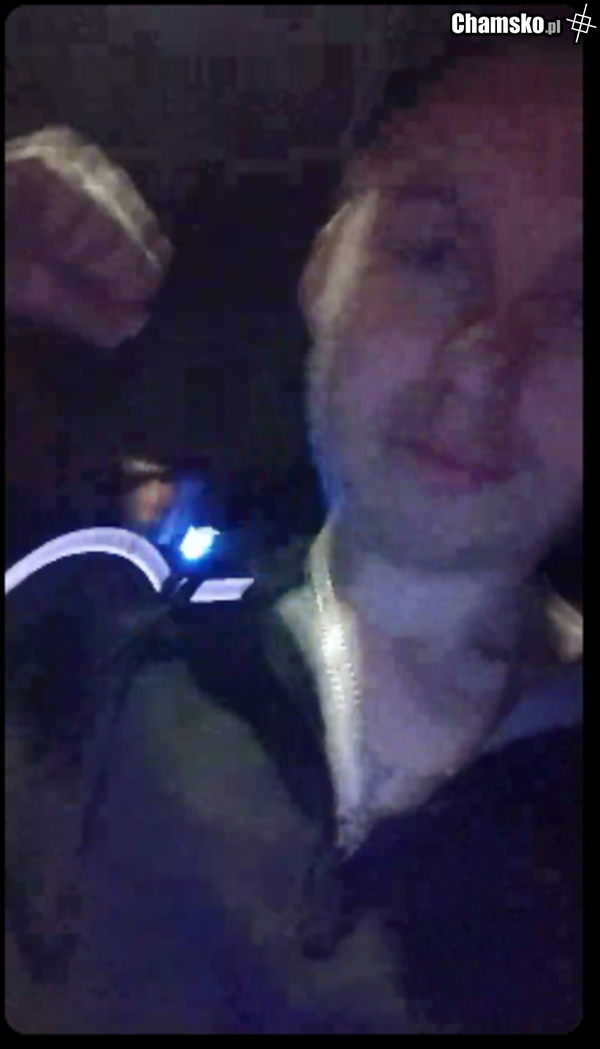 zolwik