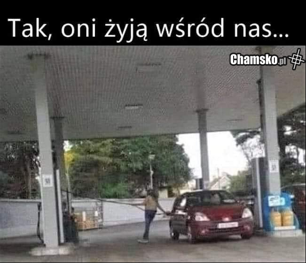 Grażyna, jedź zatankuj