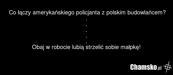 Co łączy amerykańskiego policjanta z polskim budowlańcem? . . . . . Obaj w robocie lubią strzelić sobie małpkę!