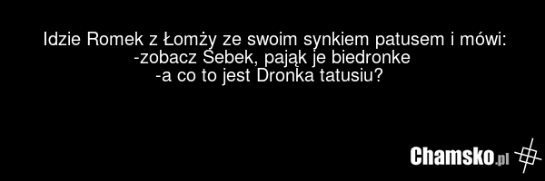 Idzie Romek z Łomży ze swoim synkiem patusem i mówi: -zobacz Sebek, pająk je biedronke -a co to jest Dronka tatusiu?
