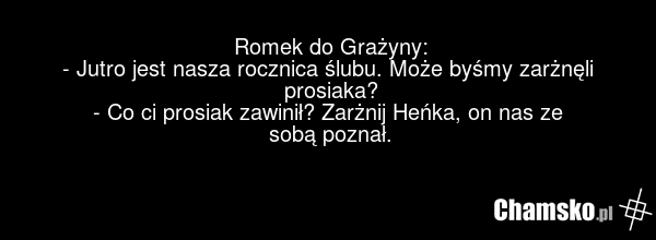 Romek do Grażyny: - Jutro jest nasza rocznica ślubu. Może byśmy zarżnęli prosiaka? - Co ci prosiak zawinił? Zarżnij Heńka, on nas ze sobą poznał.