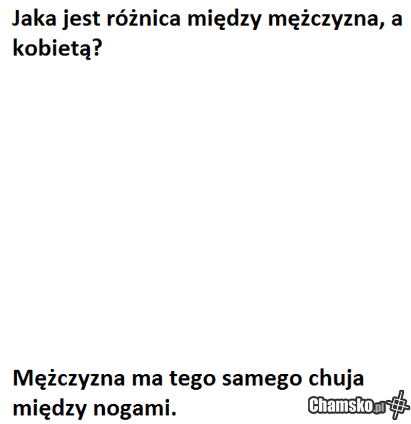 twoja stara