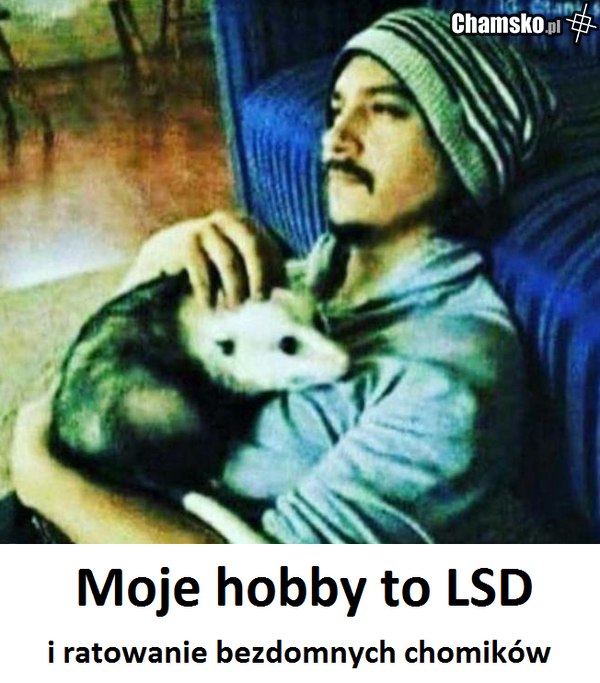 zambrowskie ścierwo