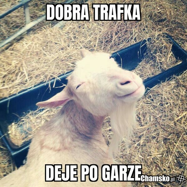 daje