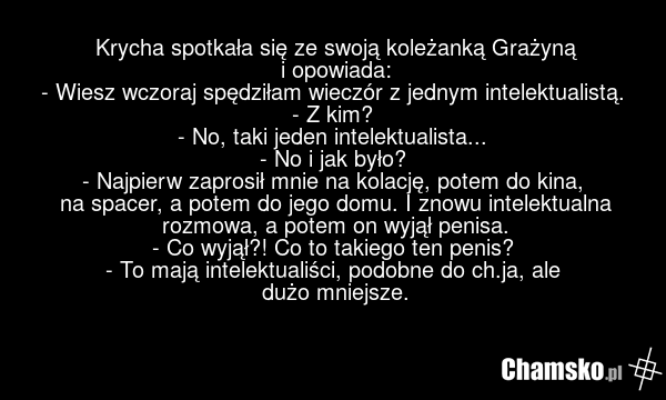 Krycha spotkała się ze swoją koleżanką Grażyną i opowiada: - Wiesz wczoraj spędziłam wieczór z jednym intelektualistą. - Z kim? - No, taki jeden intelektualista... - No i jak było? - Najpierw zaprosił mnie na kolację, potem do kina, na spacer, a potem do jego domu. I znowu intelektualna rozmowa, a…