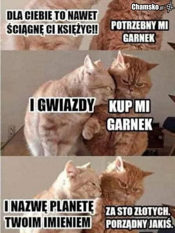 kochana