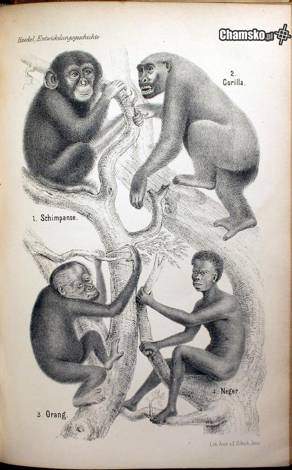 Encyklopedia