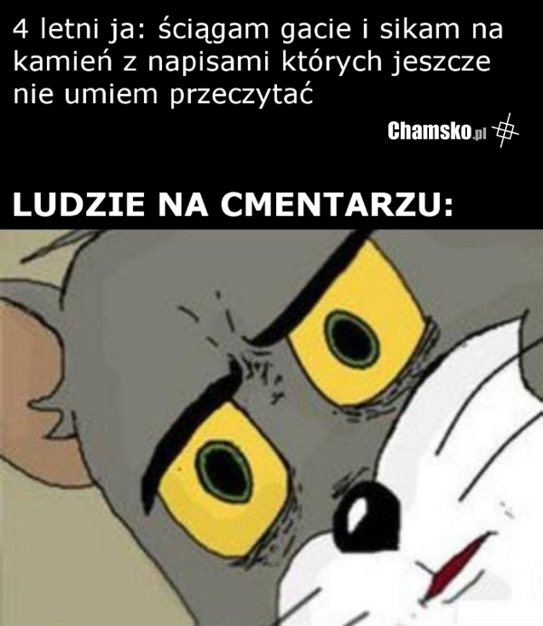Kamień