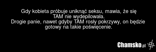 Gdy kobieta próbuje uniknąć seksu, mawia, że się TAM nie wydepilowała. Drogie panie, nawet gdyby TAM rosły pokrzywy, on będzie gotowy na takie poświęcenie.