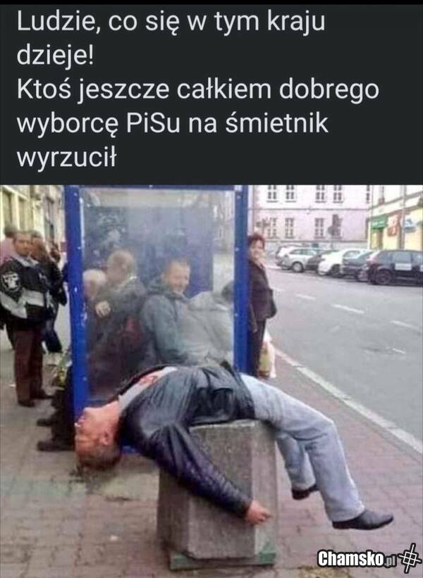 Fanatyk
