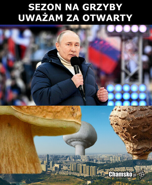 Sezon na grzyby