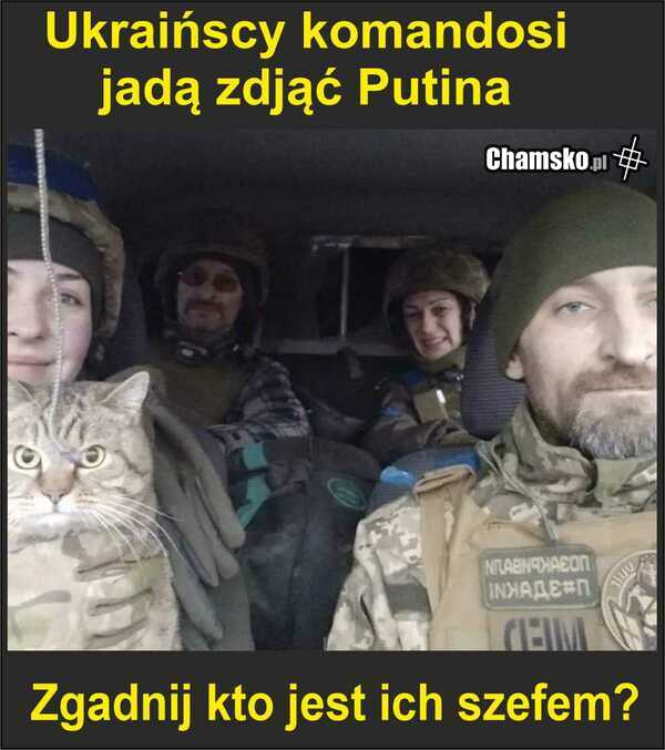 Komandosi